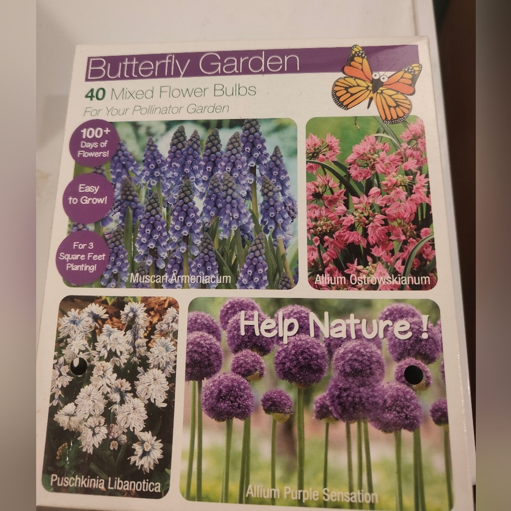 Garden Mixed Flower Bulbs